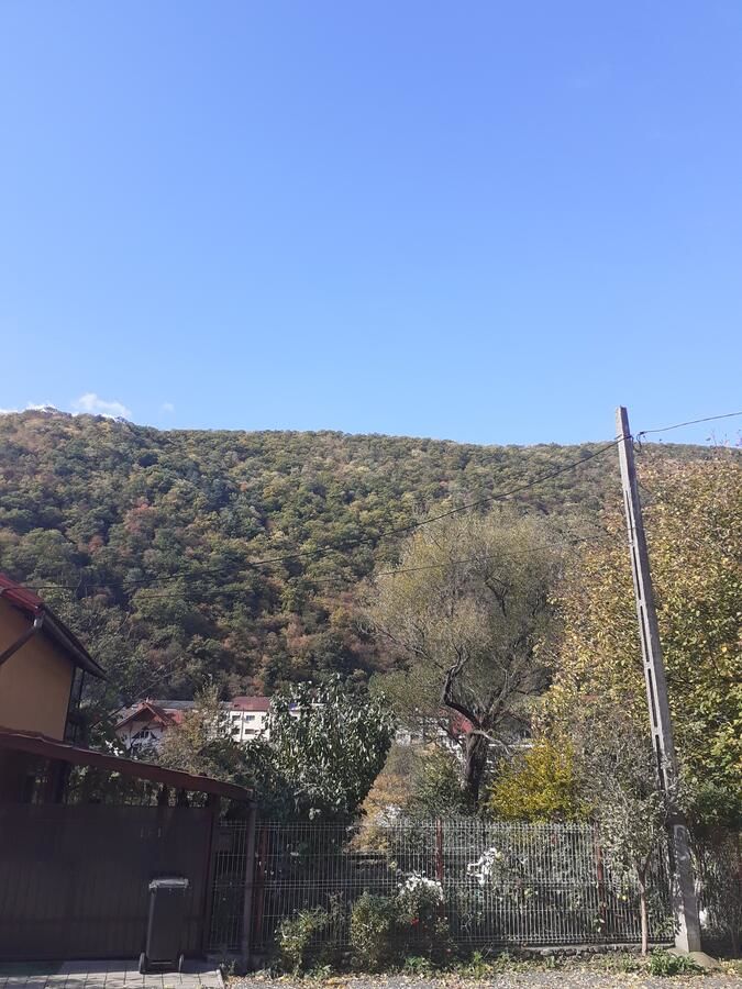 Проживание в семье CASA IZA Бэиле-Еркулане-17