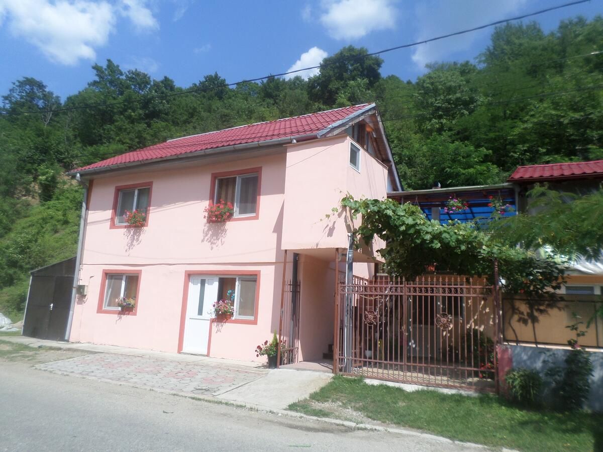 Проживание в семье CASA IZA Бэиле-Еркулане-20