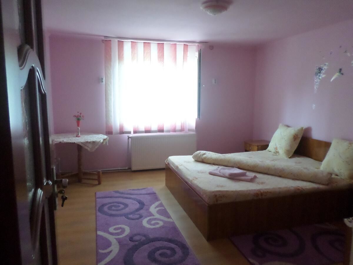 Проживание в семье CASA IZA Бэиле-Еркулане-22